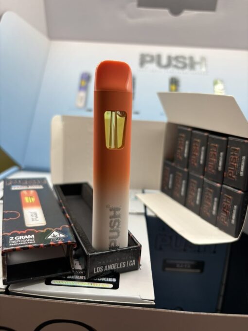 2g push disposable