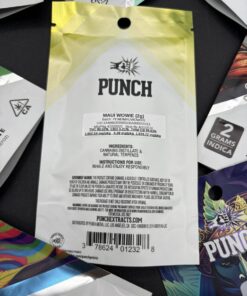 punch 2g disposable