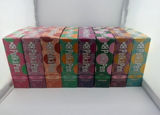 polkadot disposable 2g