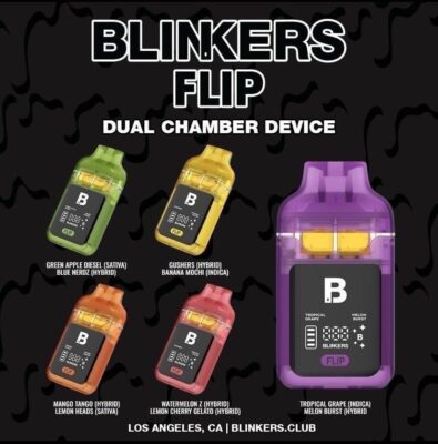 blinkers flip