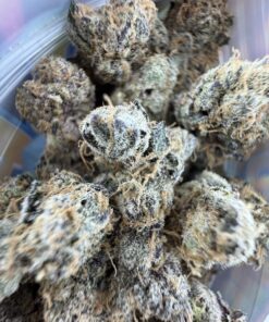 bounty farms