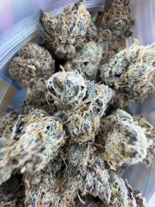 bounty farms