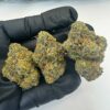rainbow sherbert 11