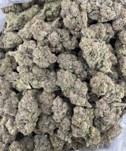 lemon cherry gelato strain