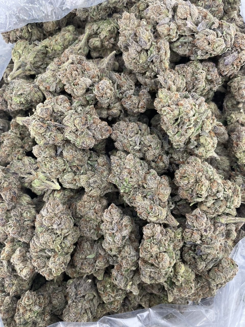 lemon cherry gelato strain