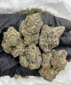 lemon cherry runtz strain