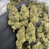 gelato 45 strain