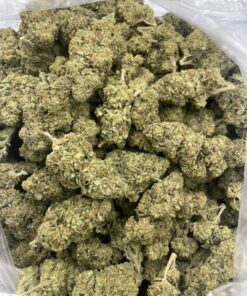 gelato 45 strain