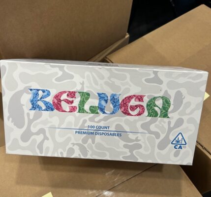 beluga 3g disposable