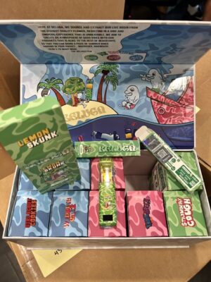 beluga 3g disposable