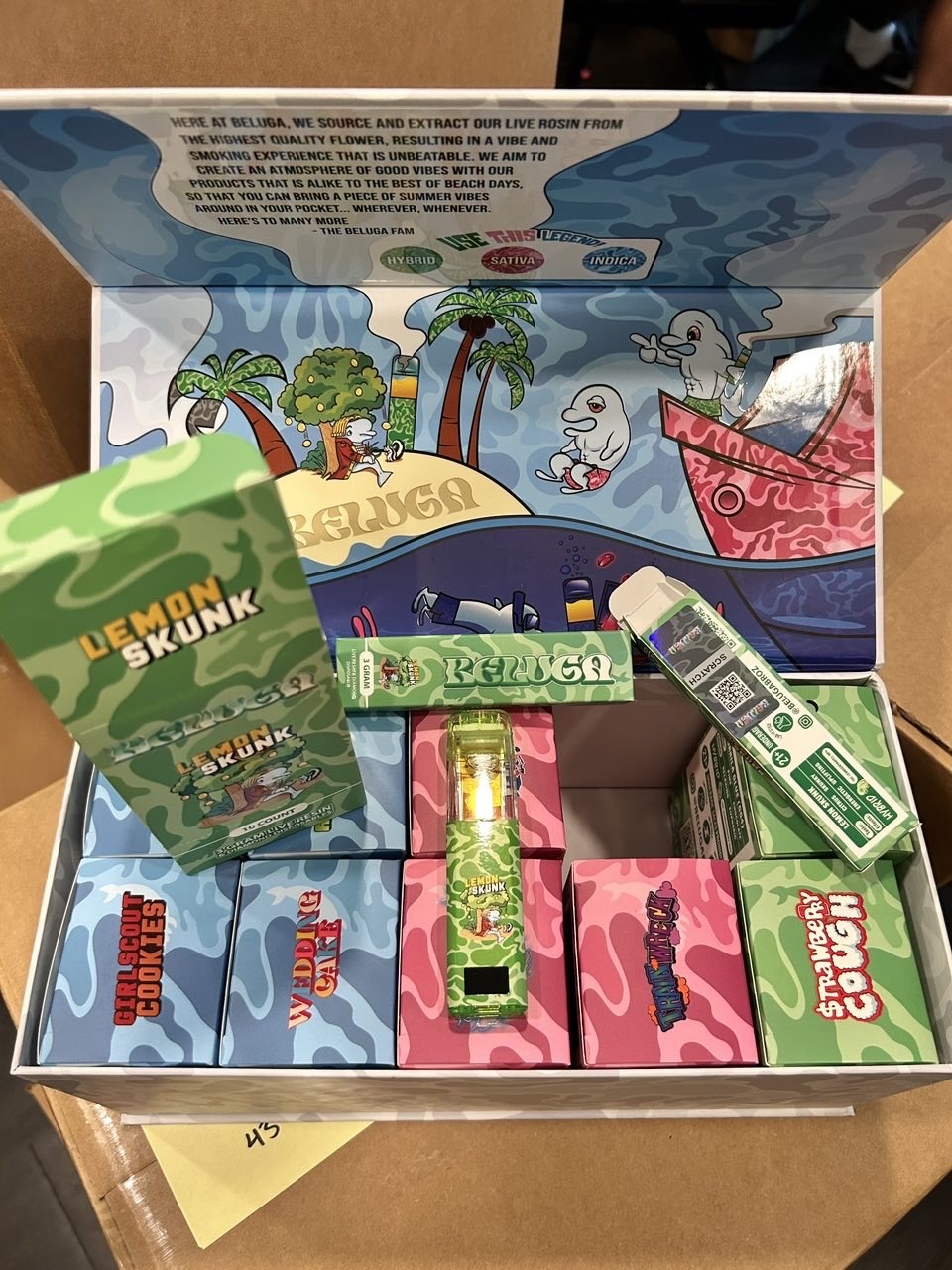 beluga 3g disposable