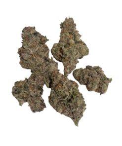 ballato strain
