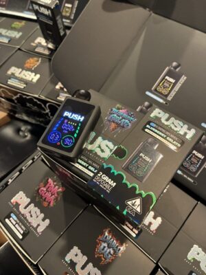 push disposable 2g with screen