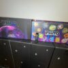 pluto 2g disposable